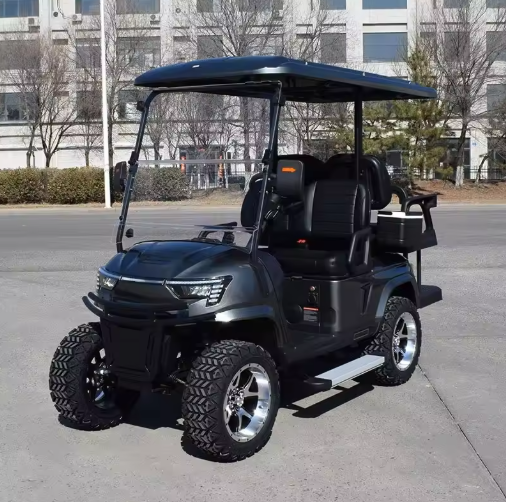 electric golf cart mini sightseeing car