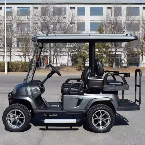 electric golf cart mini sightseeing car