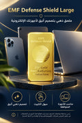 Defense Shield Large