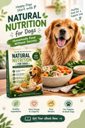 Ebook Homemade Food Without Secrets
