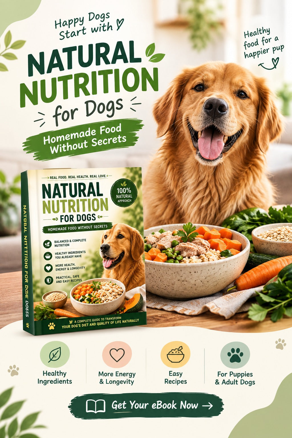 Ebook Homemade Food Without Secrets