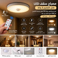 LED Ceiling Light